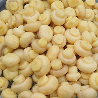 Konserverad svamp i trummor