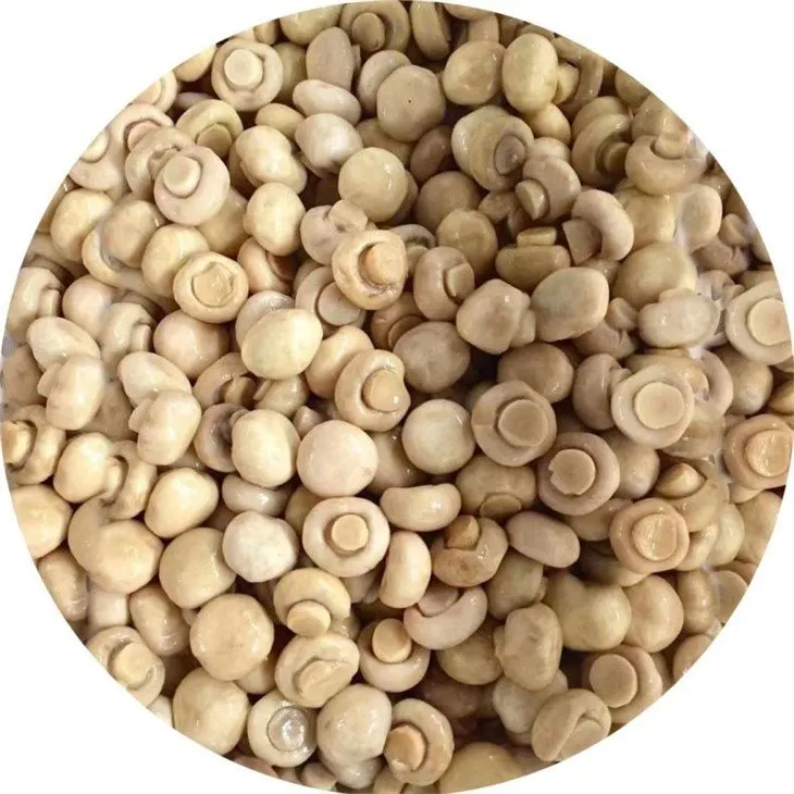 Whole white mushroom in salted water in barrel 50kgs