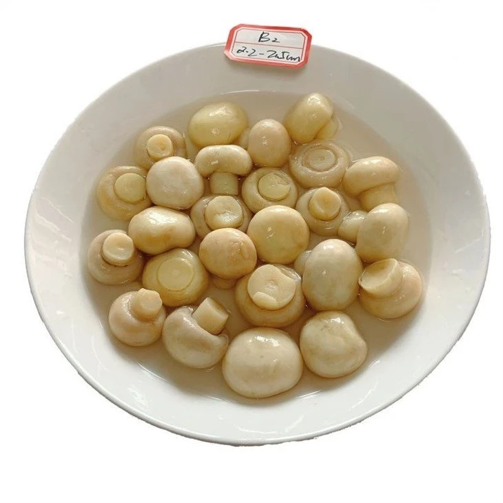 Whole white champignon mushroom in brine in drums factory