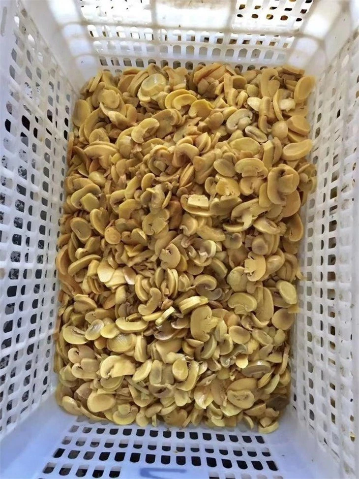 Sliced champignon mushroom in salted water in barrel