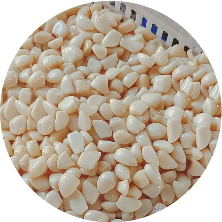 Peeled garlic cloves in drums