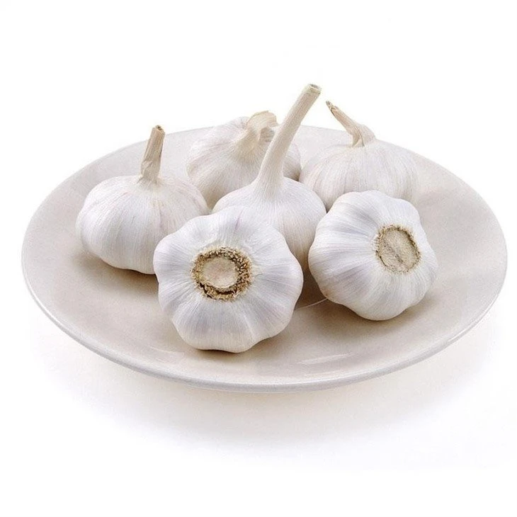 2022 new crop white garlic in brine in drums