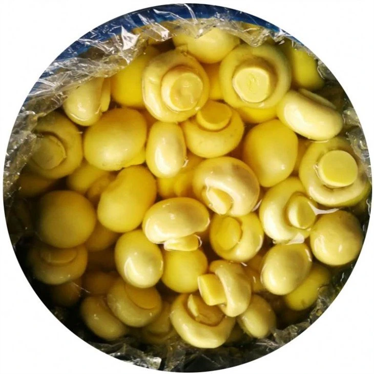 Whole brined mushroom in plastic drums