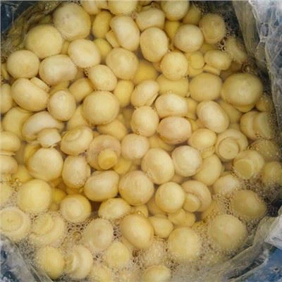 48 kg svamp i saltlake