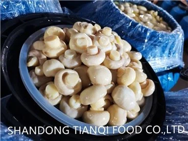 Svamp i saltlake i plasttrummor