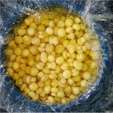 Hel Vit Svamp I Trummor