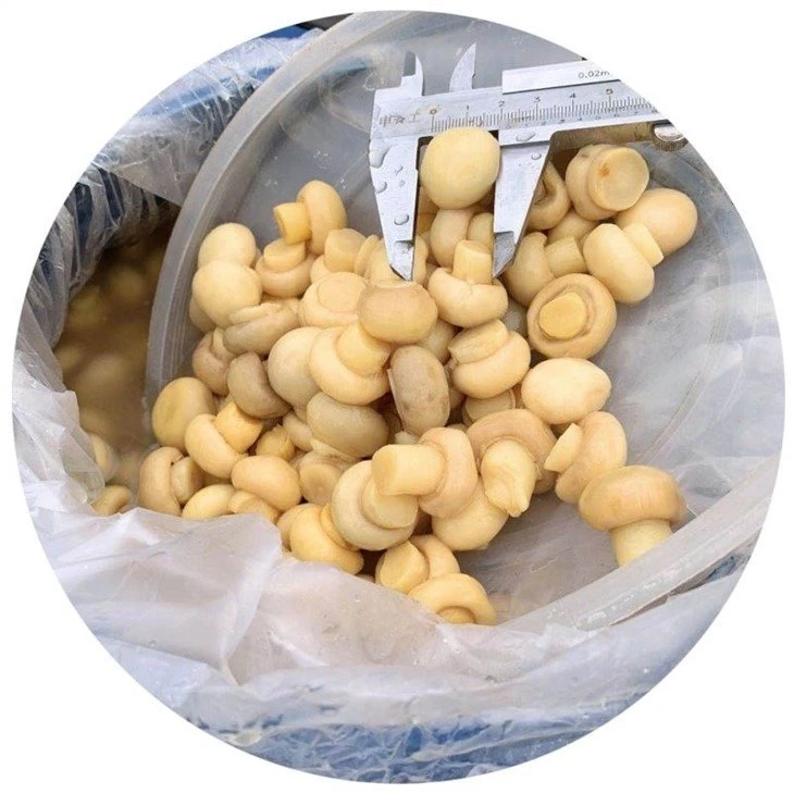 whole mushroom in drums sliced Champignon in barrels