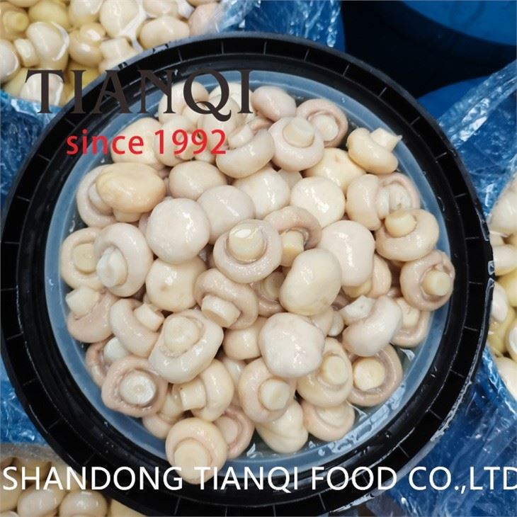 White button mushroom in salted water in drums
