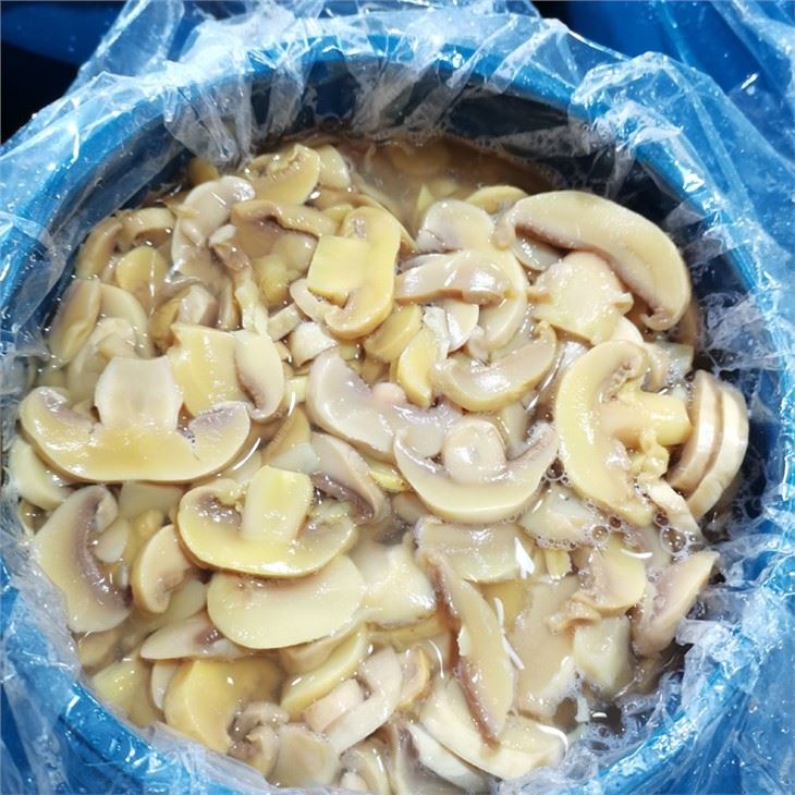 Wholesale sliced white mushroom in brine in drums