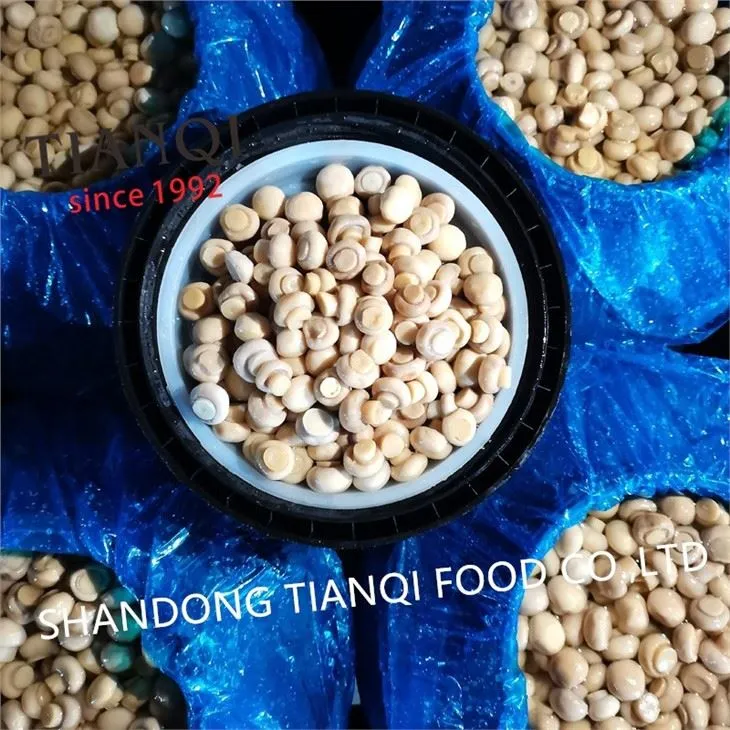 Wholesale mushroom in vinegar in drums