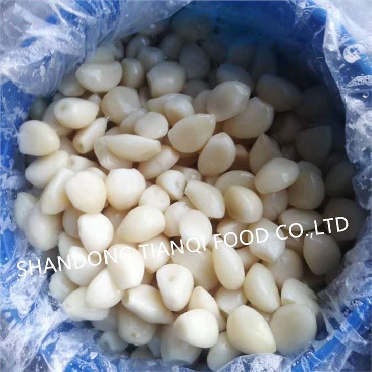Normal White Garlic Peeled in Brine in Drums