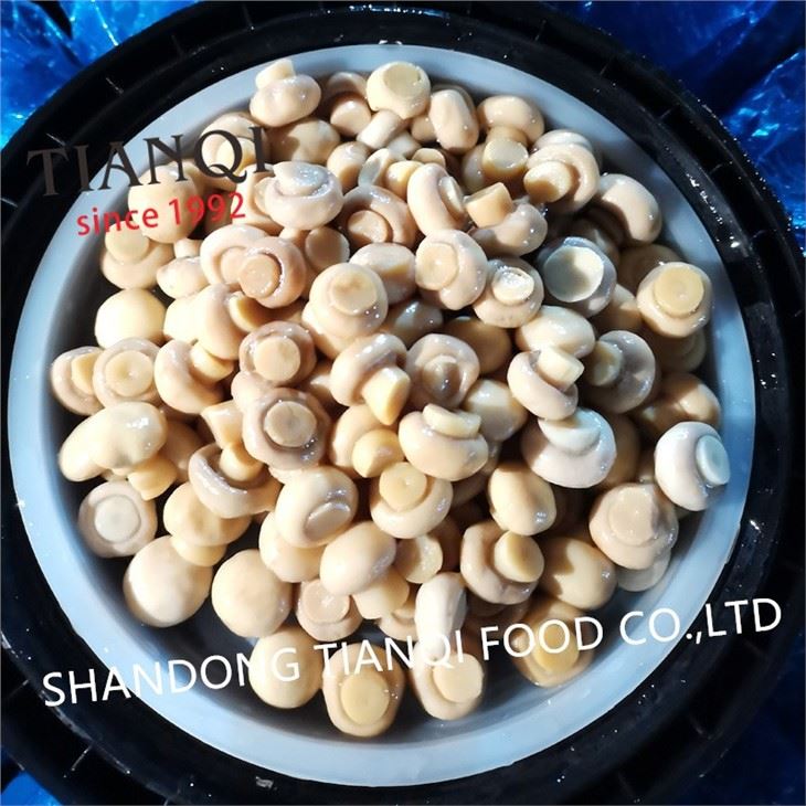 Fresh Whole Mushroom in Vinegar in Plastic Drums