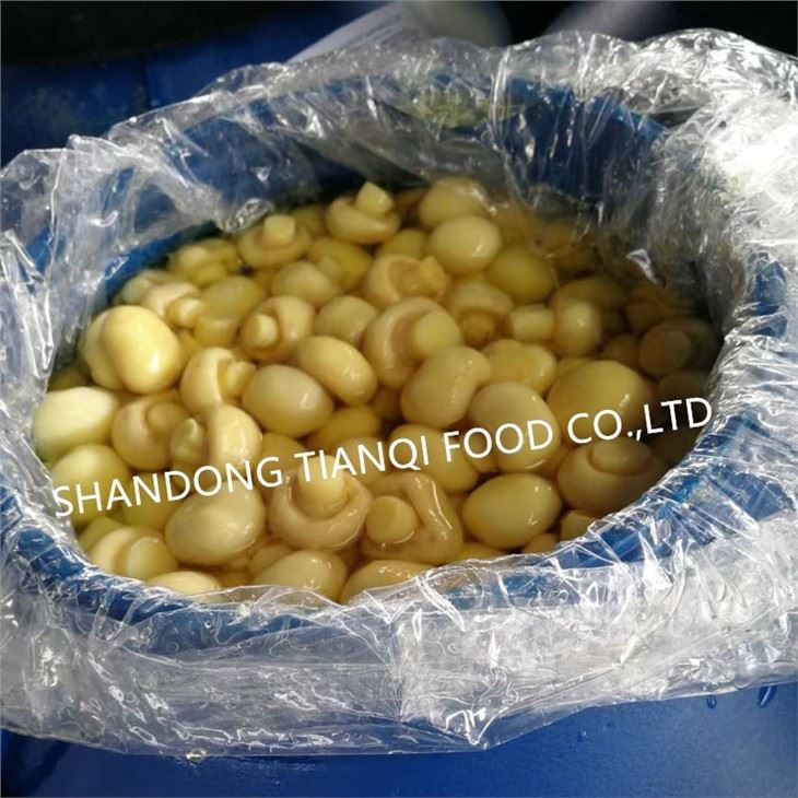 White champignon Mushroom in SO2 in Drums factory