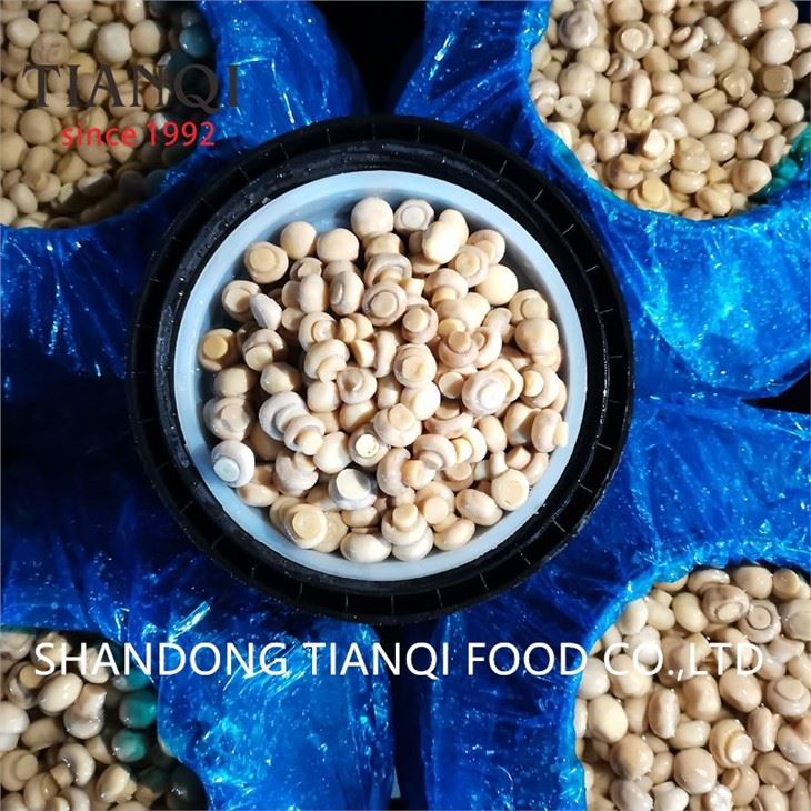 Mushroom in Drums in Vinegar Factory