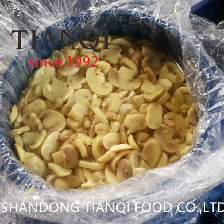 Pickled white mushroom in SO2 in drums