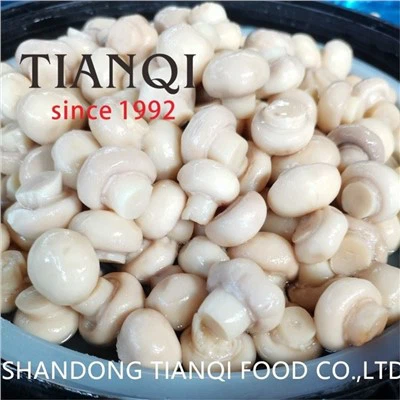 Färsk saltlake skiva svamp i trumma