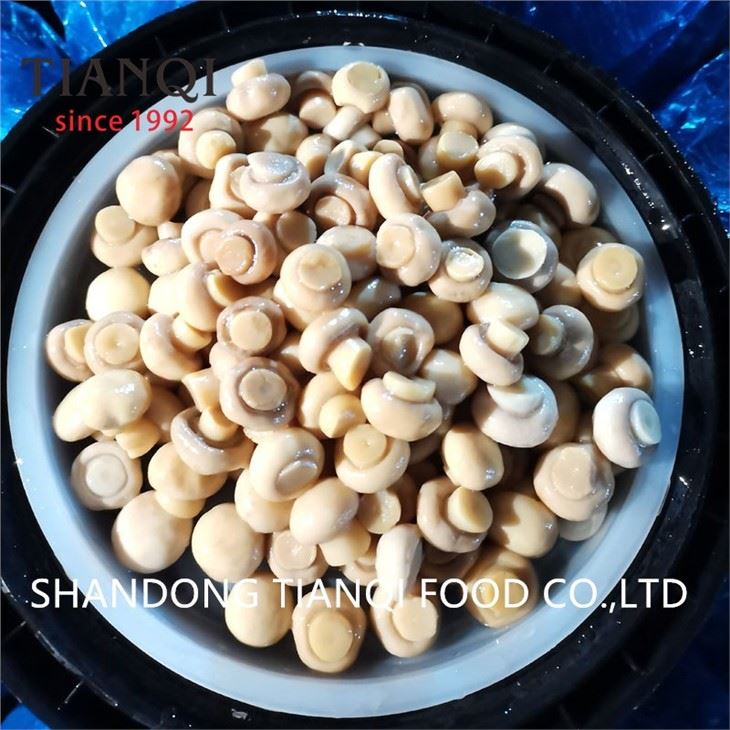 White Champignon in Brine in Drums