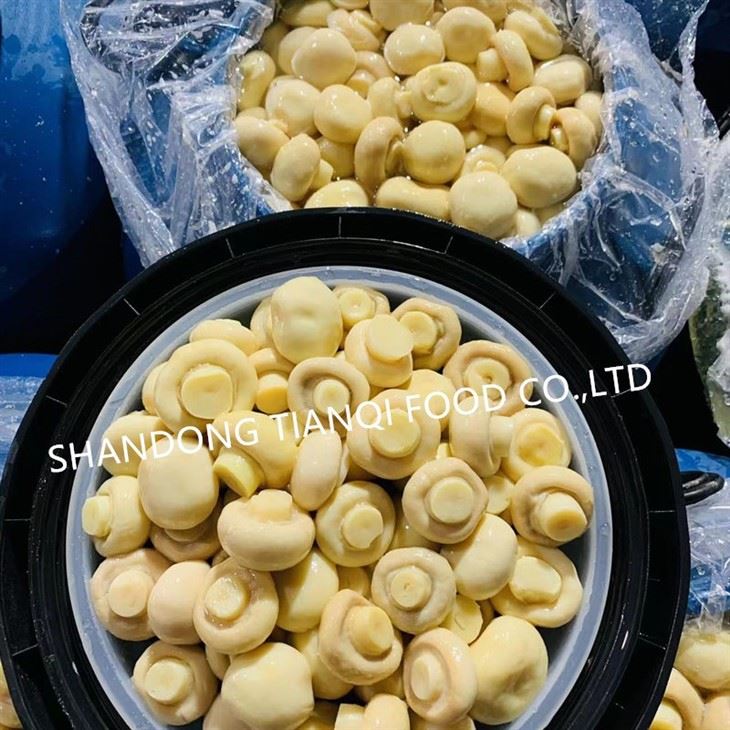 Whole champignon mushroom in brine in drums