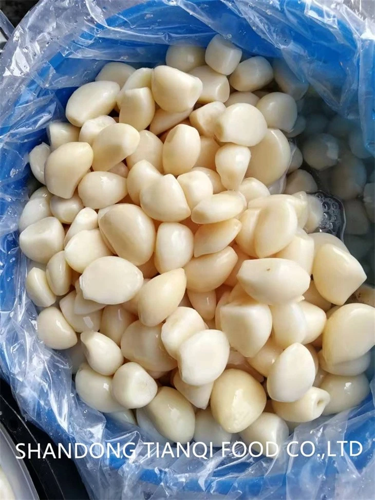 2023 New Crop Garlic Cloves in Brine in Drums