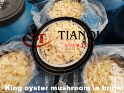 King Olyster svamp i saltlake i trummor med hög kvalitet